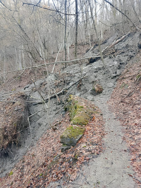 Ordinanza n.01-2026 del 11-03-2026 Chiusura strada vicinale denominata per Cucchiale (sentiero di collegamento tra la strada comunale per la frazione Morinesio e la frazione Cucchiales)